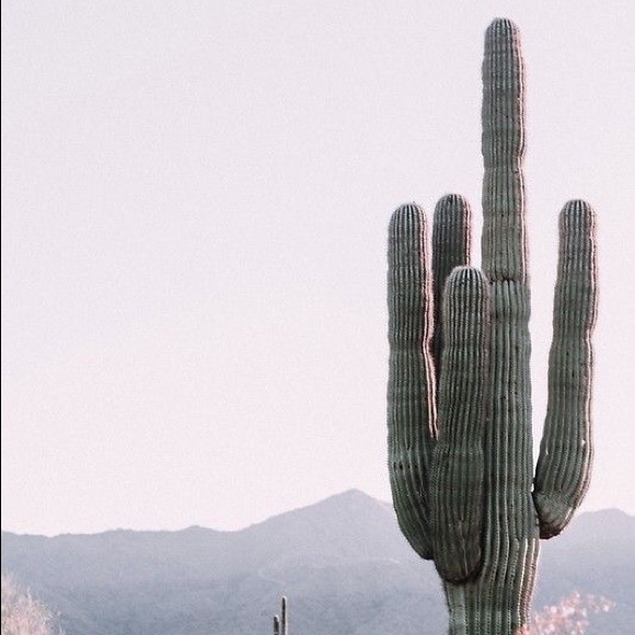 Meet your Posher, Impatient Clothing - Picture 1 of 1